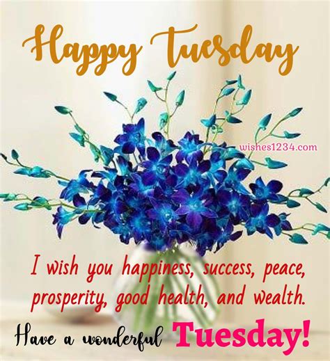 tuesday dvdscr